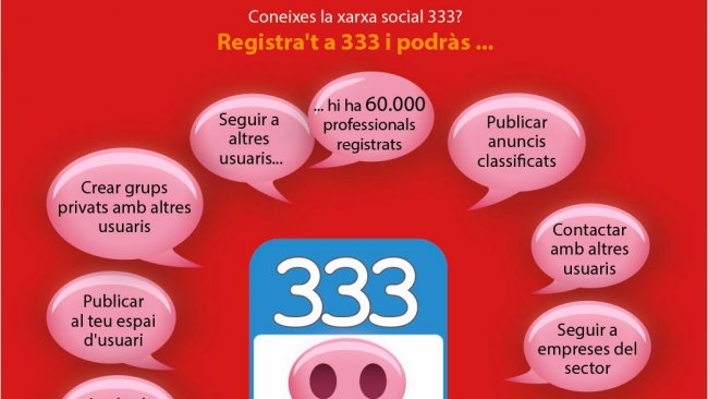 Xarxa Social 333 1