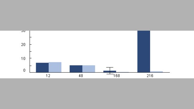 Intracellular survival of H. parasuis in porcine alveolar macrophages collected from pigs previously infected with PRRSV
