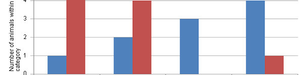 Distribution of the severity of the cartilage lesions (scale from 0 to 3) in animals pertaining to the control group or in animals that consume a diet with Cu/Mn bound to amino acids.