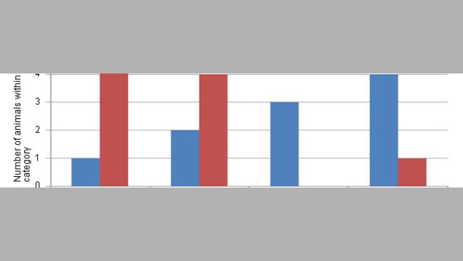 Distribution of the severity of the cartilage lesions (scale from 0 to 3) in animals pertaining to the control group or in animals that consume a diet with Cu/Mn bound to amino acids.