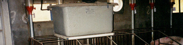 An alternative is to place a tank, as if it was cistern, above each line of gestation crates