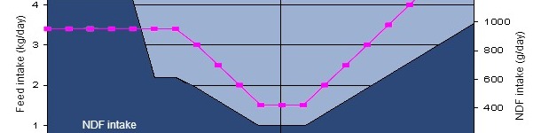 Ingesta de fibra (FND) alrededor del parto