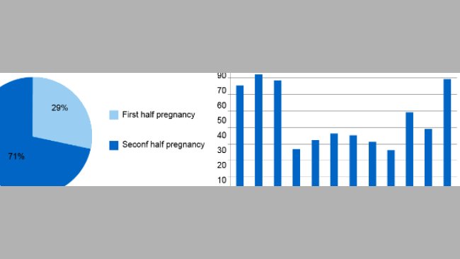 The pie chart represents the percentage of abortions in the first and second stage of pregnancy, respectively. The bar chart represents the seasonality of abortions.