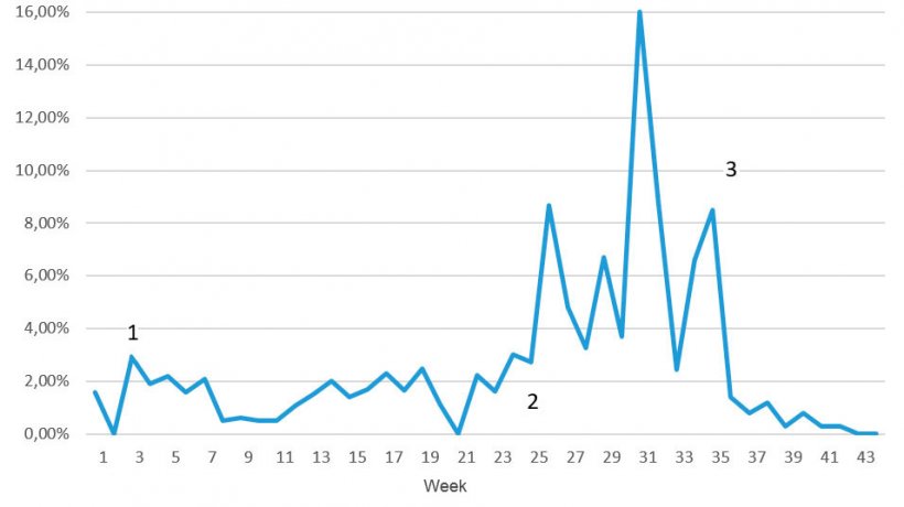 Fig 7. Weekly mortality throughout the BO problems; 1 = first signs subsiding after 3-4 weeks; 2 = re-emergence of disease at much higher levels; 3 = first week of vaccinated pigs