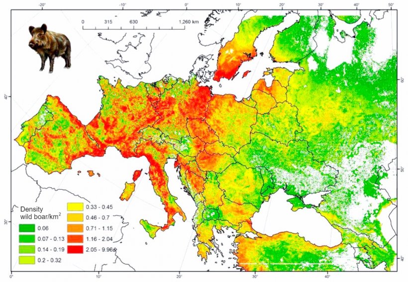 Figure 2.&nbsp;Estimated boar population in Europe. Source: FAO-ASFORCE, May&nbsp;2015.
