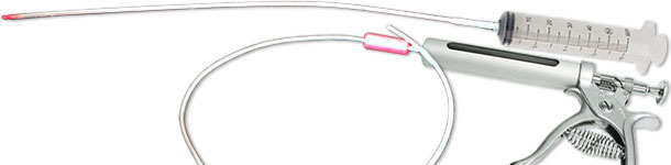 Use of an AI probe to give colostrum to the piglets