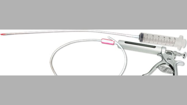 Use of an AI probe to give colostrum to the piglets