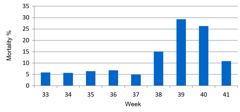 Graph 1. Percentage of pre-weaning weekly mortality, before and during PED.
