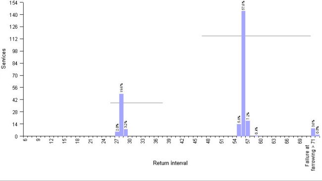 Graphic 1.- Example of 4WBF farm: planning of return sow mating by use of hormones. Average return interval 51,6 days
