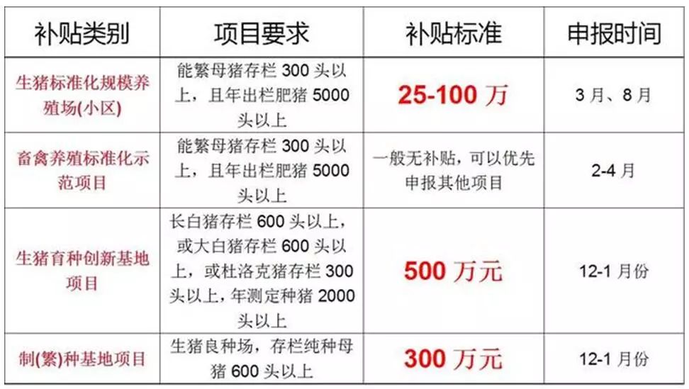 Pig333wechat 2