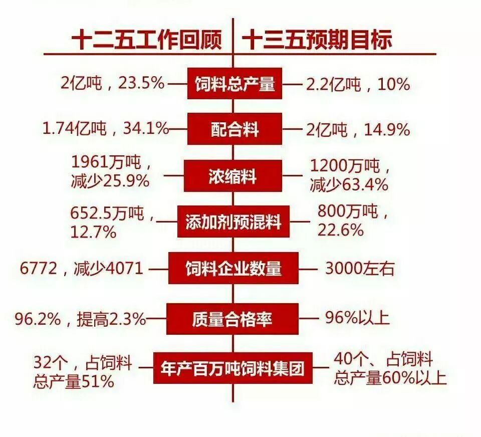 Pig333wechat 2