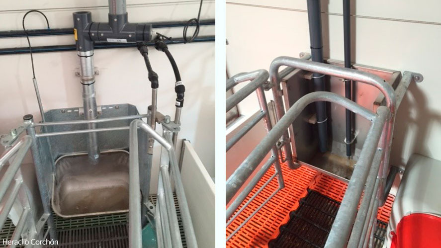 <p>Automatic feeding systems in the farrowing house (both liquid and dry) allow to establish feeding curves, saving the time to daily adjust the dispensers. In both cases it is important to use probes that measure whetherf the sow has eaten the feed provided or not.</p>

