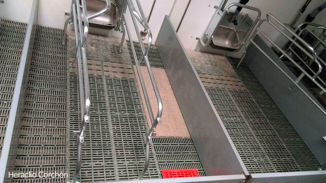 <p>Farrowing pen with plastic floor for piglets and sow.&nbsp;The floor under&nbsp;the sow is denser at the front.</p>
