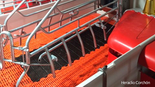 <p><span style="font-size: 13px;">The most commonly used combination is plastic slats for </span><span style="font-size: 13px;">suckling piglets </span><span style="font-size: 13px;">and </span><span style="font-size: 13px;">cast iron </span><span style="font-size: 13px;">for the sow</span><span style="font-size: 13px;">.</span></p>
