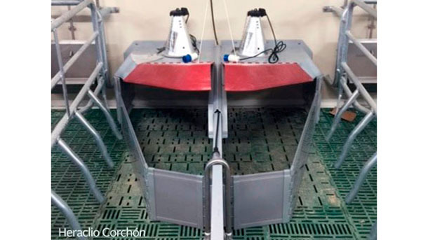 <p>Self-regulating heat lamps and creep areas&nbsp;are a good option to create an adequate environment for the piglet (28-33 &ordm;C depending on their age)<br />
&nbsp;</p>

