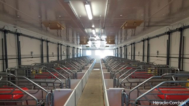 <p>Smooth ceilings without interference to air circulation and air intakes through a false ceiling, preferably motorized if the farrowing rooms are very long, are elements that determine good ventilation.</p>
