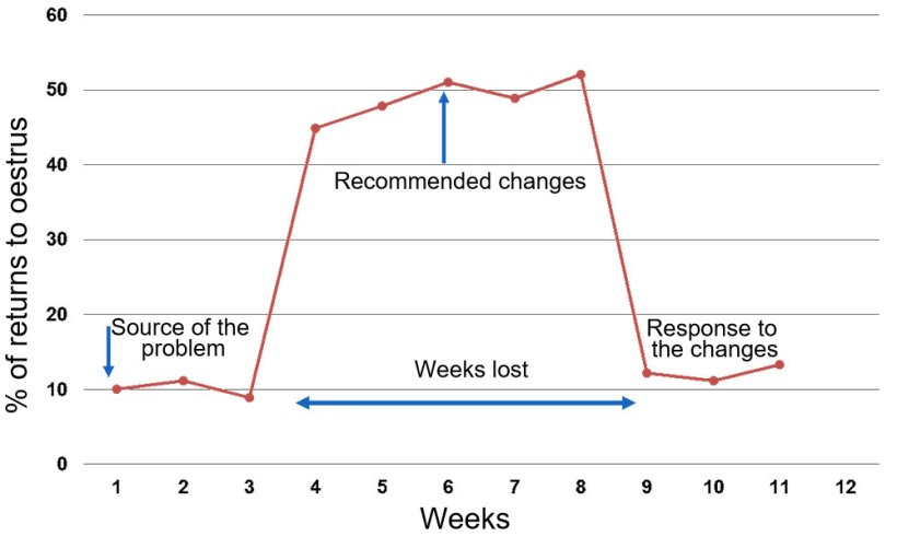 Graph 1. Response reported per week of AI or natural mating.
