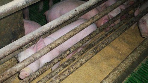 若未很好的划分这三个区域，则会出现问题
