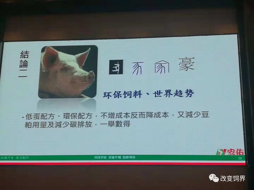 pig333wechat 25