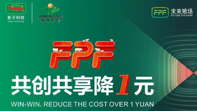 Pig333wechat