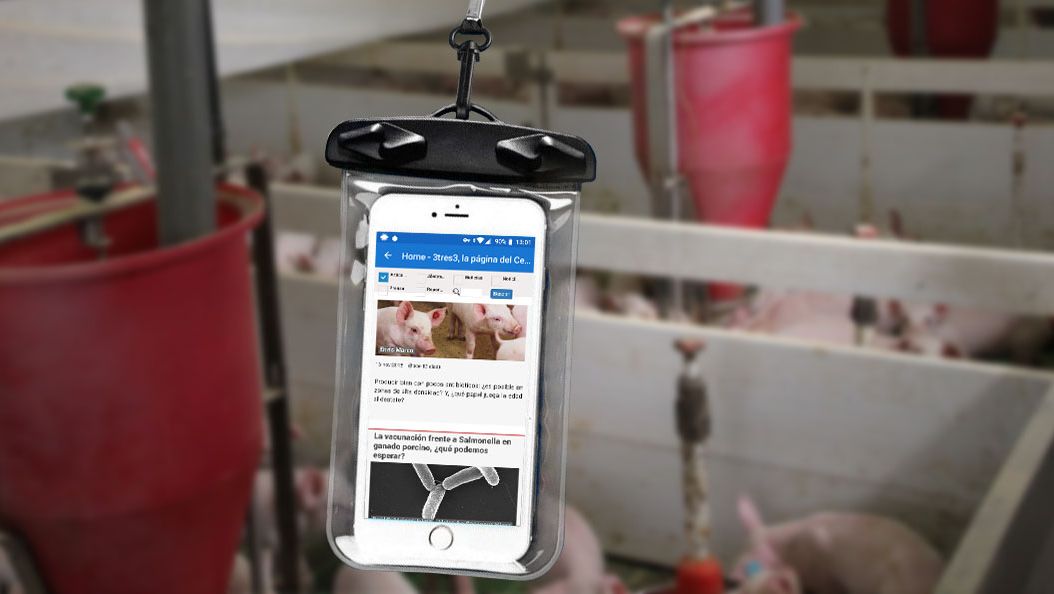 A cellphone inside a waterproof bag.
