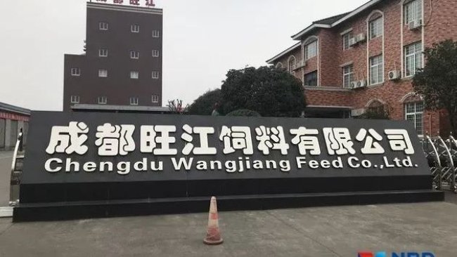 Pig333wechat 2