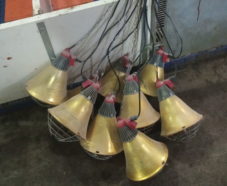 Picture 2: Farrowing lamps incorrectly stored between batches increasing the risk of infrared bulb and electric connections damage (photo courtesy of DanAg International, China)
