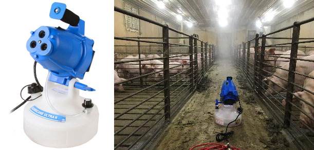 Figure 2. Aerosol exposure of replacement gilts for Mycoplasma hyopneumoniae.
