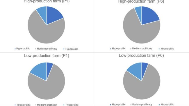 Figure 1. Distribution of the kind of sows, in parity 1 and 6 categorised by the kind of farms considered