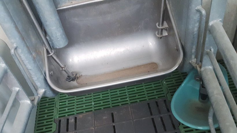 图3：大多数电子饲喂系统每次仅配给几克的饲料。为了避免饲料浪费，有一个初始供料量，作为&ldquo;采食&rdquo;的信号，但如果母猪没有碰触配料器的话，则不会供给更多的饲料。
