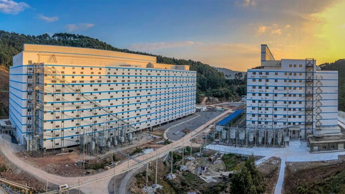 图8：地面和各楼层之间的饲料传输
