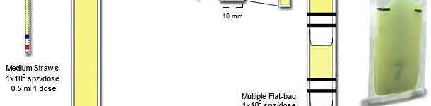 Schematic representation of the major differences between plastic 0.25 ml mini-straws, with single (5 ml) and multiple Flat-bags