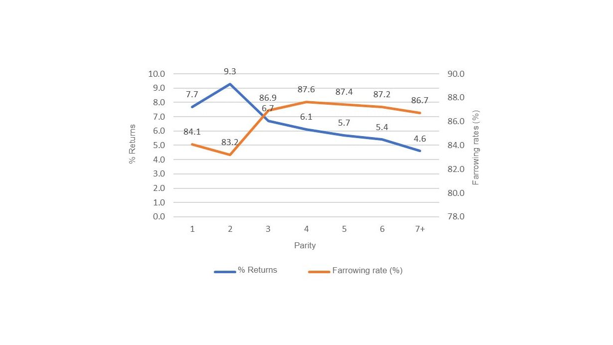 图1：产仔率和返情率，第一次配种，2018年（689,024次配种），PigCHAMP Pro Europa数据库（301,250头母猪）。
