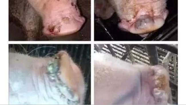 333 1