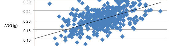 出生重与仔猪日增重之间关系