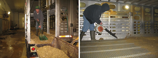 图2:干洗过程,手动清除大部分有机物质。由Carthage Veterinary Services的Clayton Johnson博士提供。