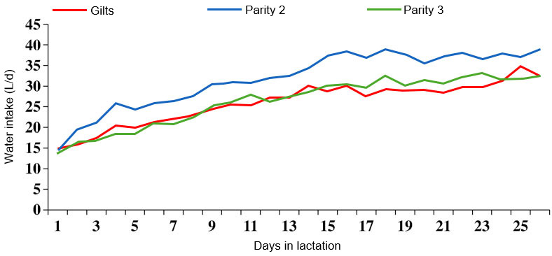 图2：哺乳期饮水量随胎次的变化。资料来源：S.Kruse，2011年