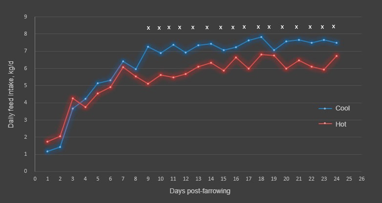 图1。炎热和寒冷季节每日采食量。第9～18天和20～24天采食量季节性差异（×；P