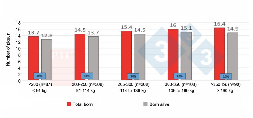 图1。第一胎哺乳期间的采食量对第二胎窝产仔猪数的影响。第一胎哺乳期间的采食量确实可以影响第二胎窝产仔猪数。减少初产母猪的饲料限制是值得的。资料来源：PIC北美技术服务（未出版）。