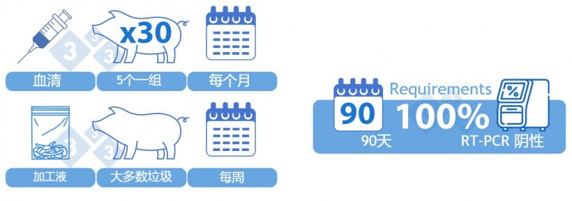  Ⅱ类阳性稳定。选项2）血清和处理液的组合。来自30头断奶仔猪的血清，每5头仔猪为一组，每个月对其进行测试。每周通过RT-PCR检测一个聚合的处理液样本。一周内处理的大多数窝次都应在样本中得到体现。所有样品必须在90天内呈阴性，才能归为该类别。