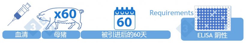 类别III暂定阴性。首次引入60天后，用ELISA检测60个阴性繁殖后备母猪的血清。实现这一类别不需要任何阳性结果。