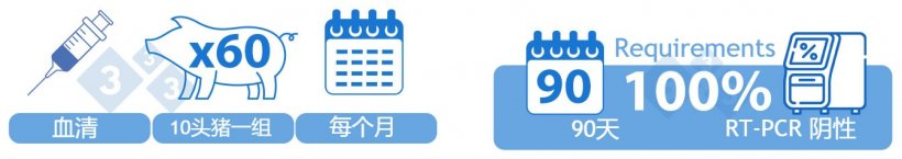 类别Ⅱ阳性稳定。选项1）在10个月中，测试60头断奶前仔猪的血清。90天内的所有批次都必须为PRRSv RT-PCR阴性，才能归为该类别。