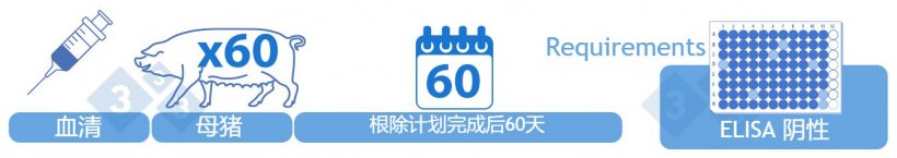 第四类阴性。根除计划完成后60天，通过ELISA检测60头成年繁殖母猪的血清。实现这一类别不需要任何阳性结果。或者，如果没有出现ELISA阳性样本，则在归为III类后一年开始归为IV类。测试结果为阴性后，再饲养的后备母猪属于这一类。