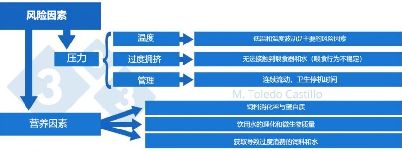 图 2：与大肠杆菌病相关的风险因素。