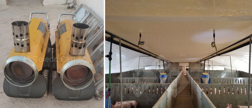 照片5和6温室类型的盖板和空气加热器的放置。