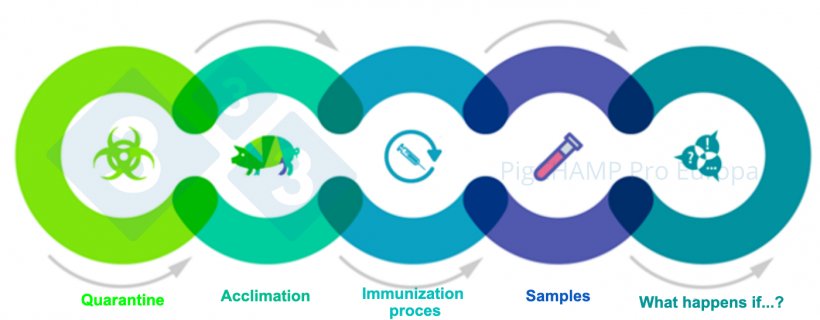 Figure 1. Key interconnected aspects that should be understood prior to the visit.
