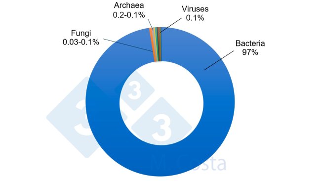 图1:猪肠道微生物群中不同微生物的估计相对比例。虽然细菌与猪肠道中的绝大多数微生物相对应,但其他微生物在复杂的肠道-微生物群串扰网络中发挥着重要作用。