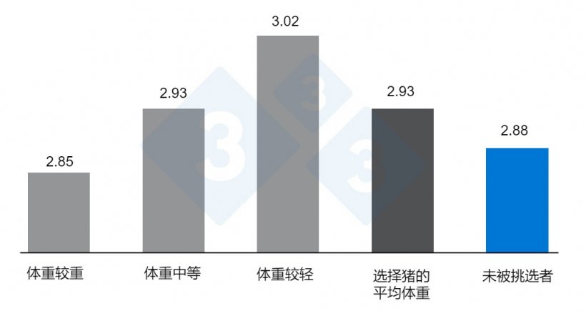 图 3. 按重量选择或不选择对饲料转化率的影响。改编自 O&#39;Quinn 等人。 2001 年。
