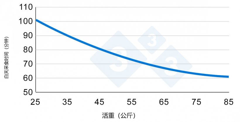 图2.猪生长期间采食时间的变化。改编自Hyun等人，1997年。
