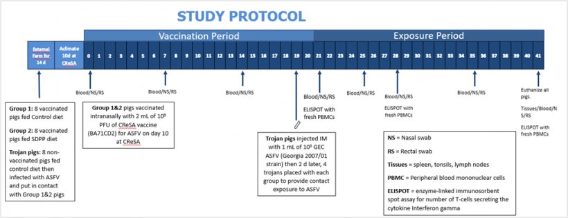 Study protocol